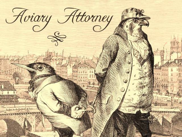 avairy attorney 1